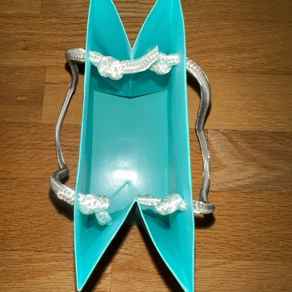 Tiffany & Co Paper Gift Bag Small 6